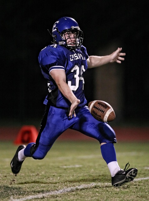 仅展现了皇 仅展现了皇