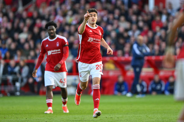 其他几支球 其他几支球